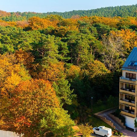 Apartament Julia ミエンジズドロイェ エクステリア 写真